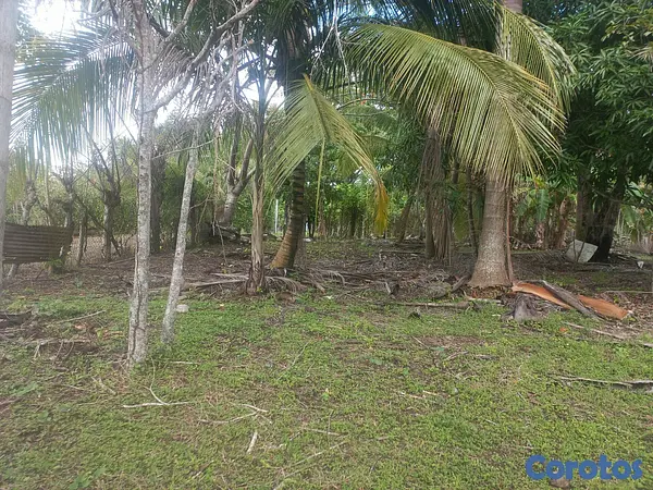 solares y terrenos - Venta finca 6