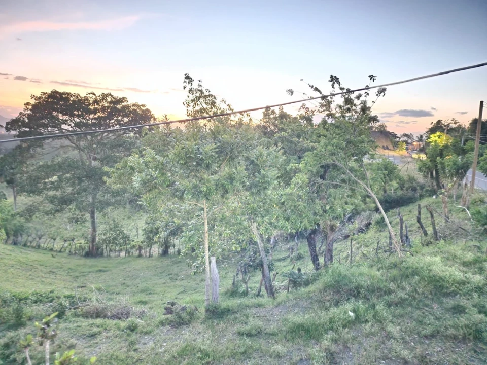 solares y terrenos - Finca en LOMA DEL COCO LA VEGA 3