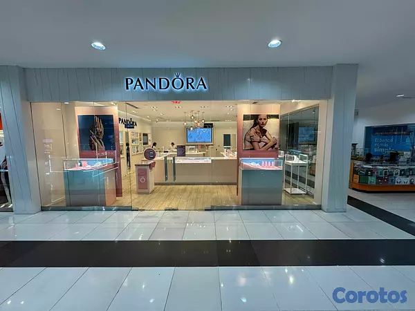 oficinas y locales comerciales - Local en alquiler en Santiago  4