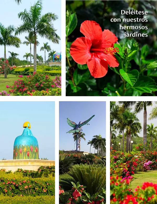 solares y terrenos - Solares Turísticos para Villas, La Romana 7