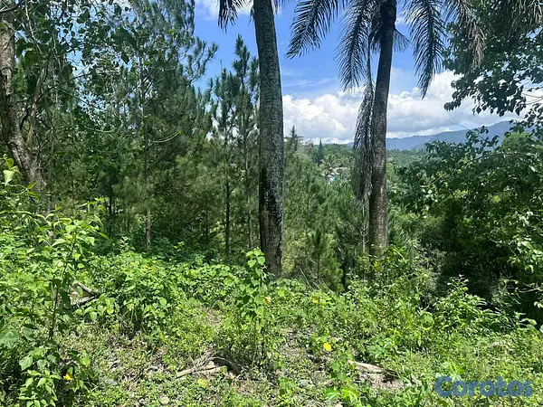 solares y terrenos - Villa Altagracia: 41,000 m² Listos para Tu Próximo Gran Proyecto.  3