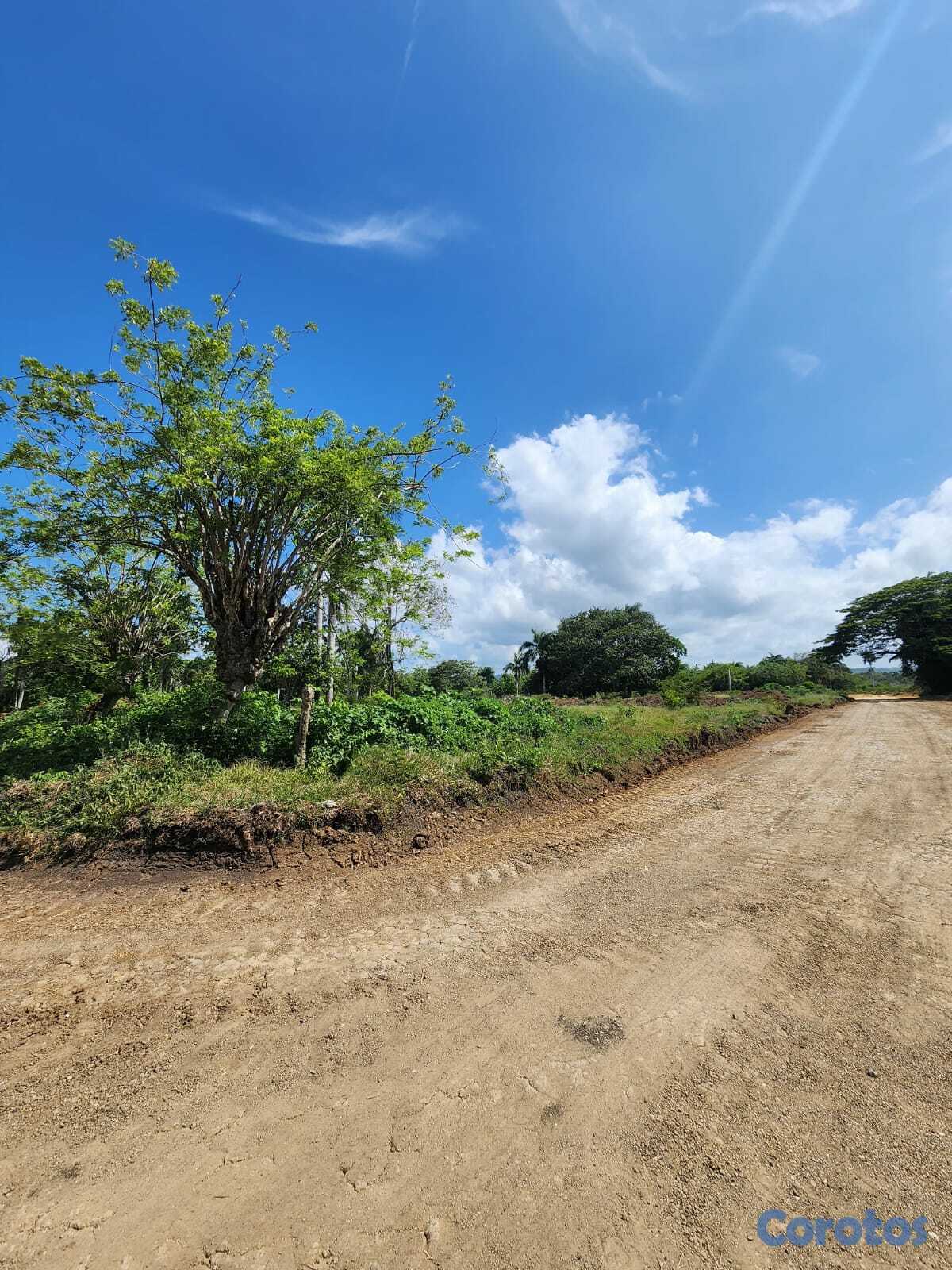 solares y terrenos - 🌿 Terrenos en Venta – Muñoz, Puerto Plata 📍 6