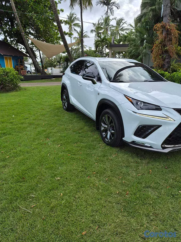 jeepetas y camionetas - Lexus NX 300 1