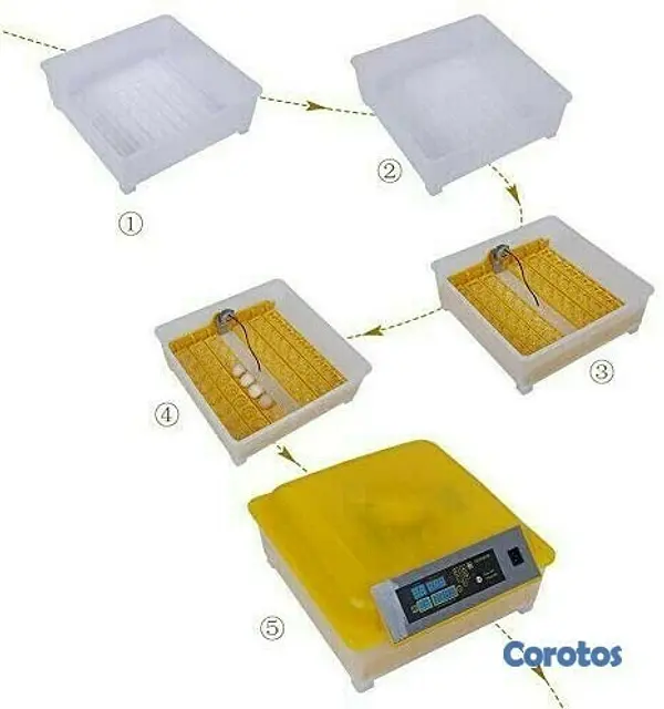 equipos profesionales - Incubadoras de 48 huevos digital automatico para Pollo Aves de corra 8