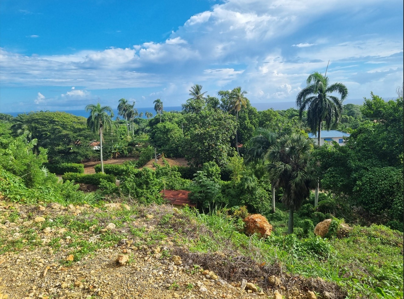solares y terrenos - Vendo Solar en Oasis Cabo Frances ideal para construir la casa de tus sueños 0