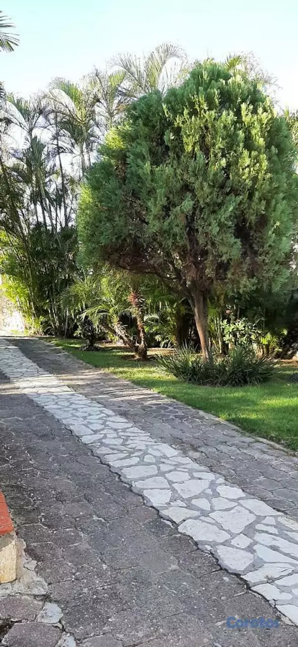 casas vacacionales y villas - Venta propiedad en Primera Linea de Playa - Juan Dolio, Rep. Dom 5