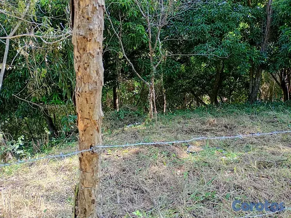 solares y terrenos - VENDO terreno en el Vacacional Matua 7