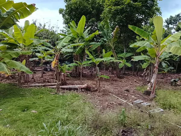 solares y terrenos - VENDO SOLAR EN VILLA ALTAGRACIA 3