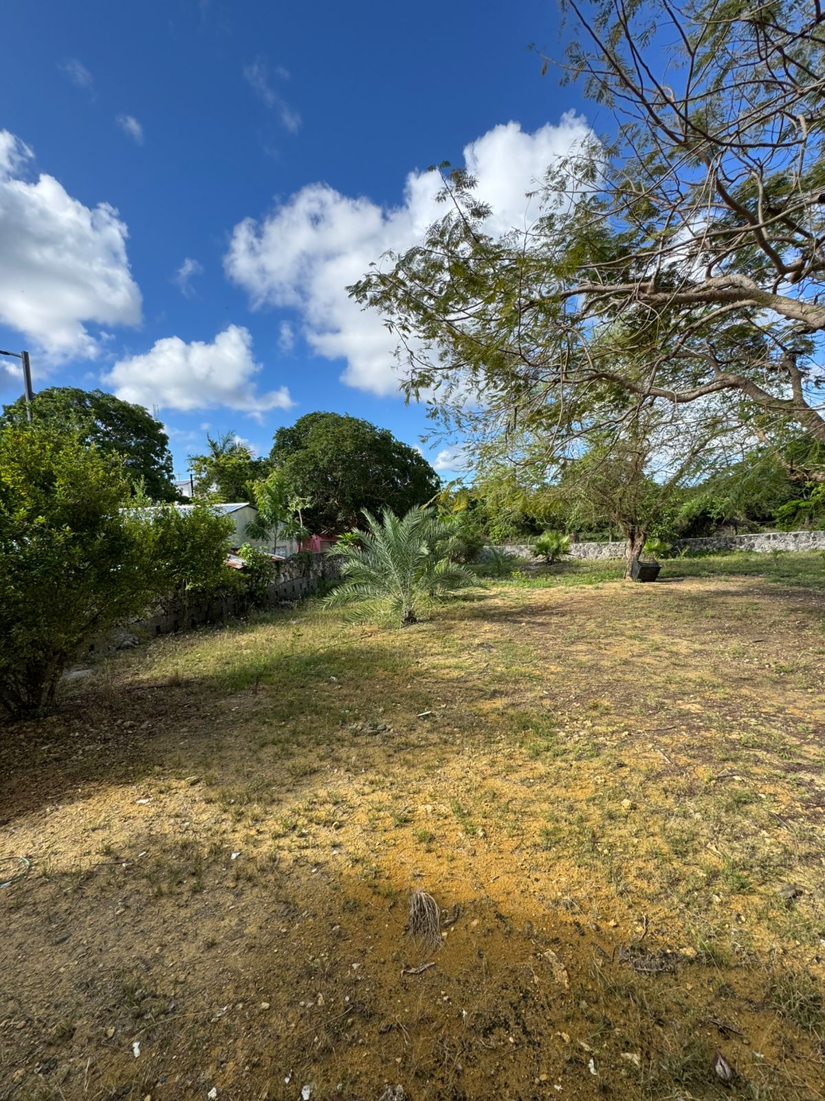 solares y terrenos - Terreno en Boca De Yuma 206066 2