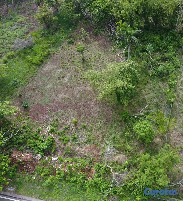 solares y terrenos - Solar en Venta Ubicado en Samaná, Las Galeras 8