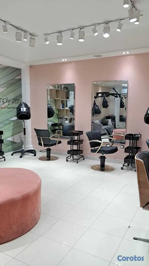 negocios en venta - VENDO SALON CON CARTERAS DE CLIENTES EN ALTOS DE A 4