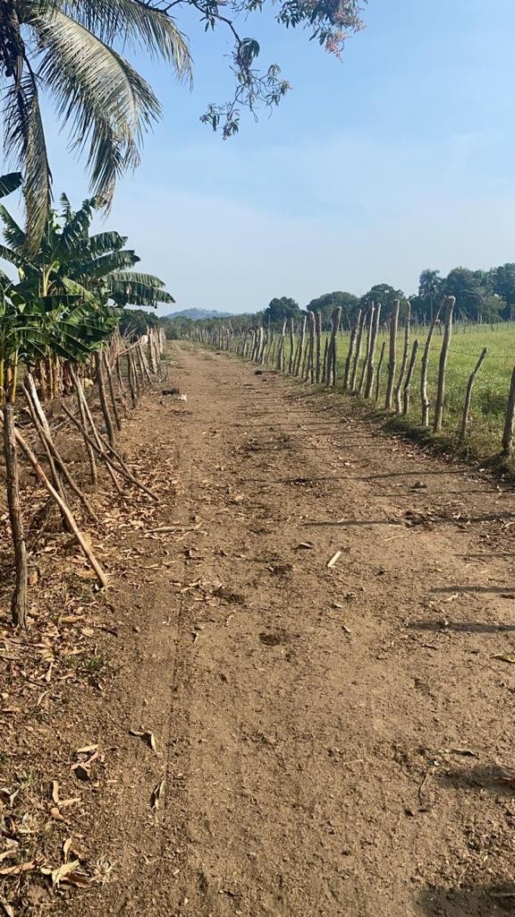 solares y terrenos - Finca 520 tareas en monte plata, en Don Juan 
 0