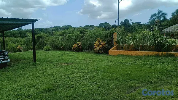 otros inmuebles - excelente finca de 50 tareas en Santo Domingo  2
