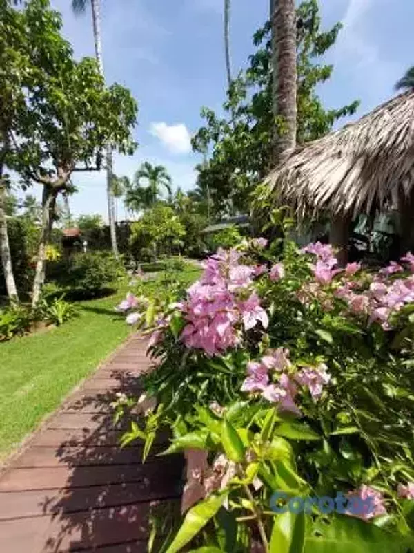 otros inmuebles - Hotel  en  venta en las terrenas O / Pequeño Resid 2