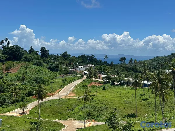 solares y terrenos - Terrenos con Vista Panorámica al Mar en Samaná #15 7