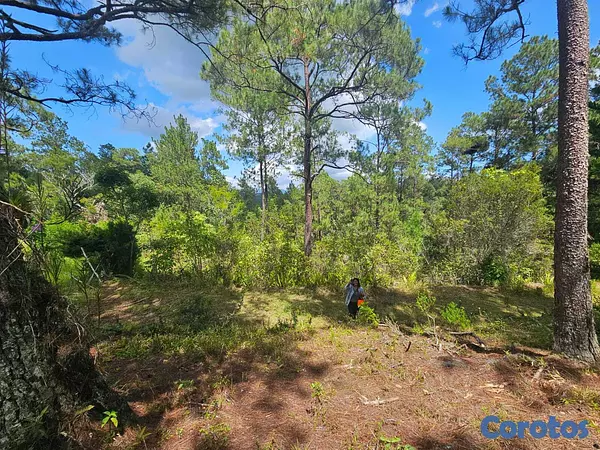solares y terrenos - Terreno en Venta – Constanza 5