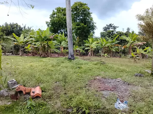 solares y terrenos - VENDO SOLAR EN VILLA ALTAGRACIA 5