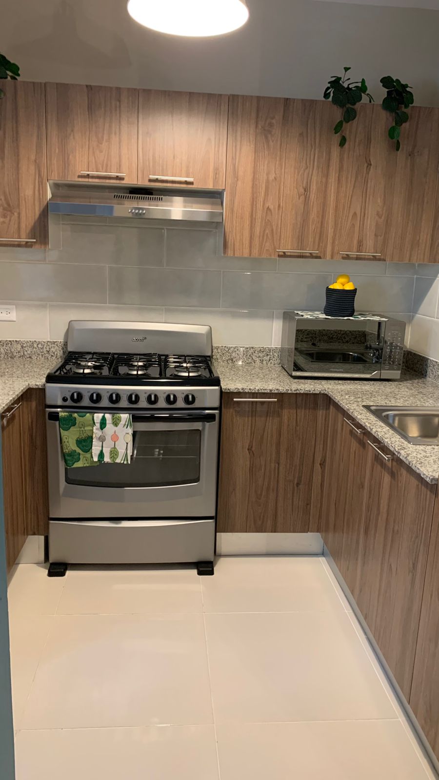 apartamentos - PROYECTO DE APART EN LA CHARLES DE GAULLE 1447 4