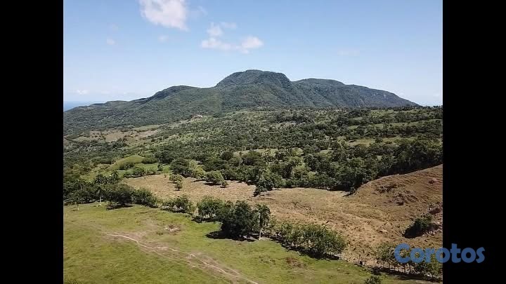 solares y terrenos - Deslindadado 2