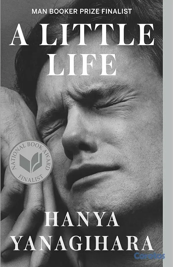 libros y revistas - Libro a little life