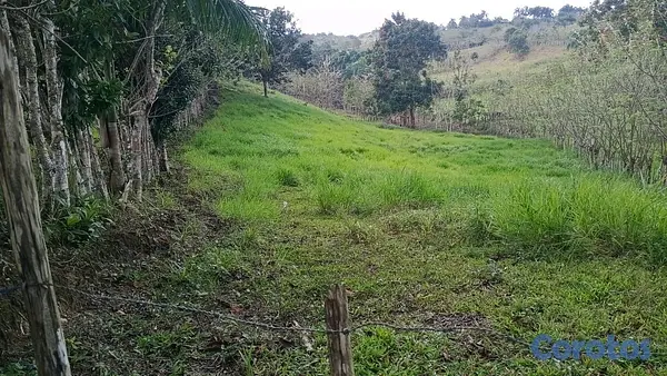 otros inmuebles - finca de 80 tareas perfecta para casa campestre  3