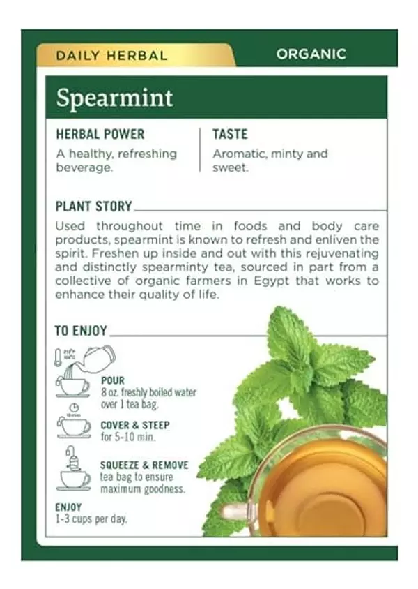 Salud y Equipamiento Médico - Té Orgánico De Menta Verde 2