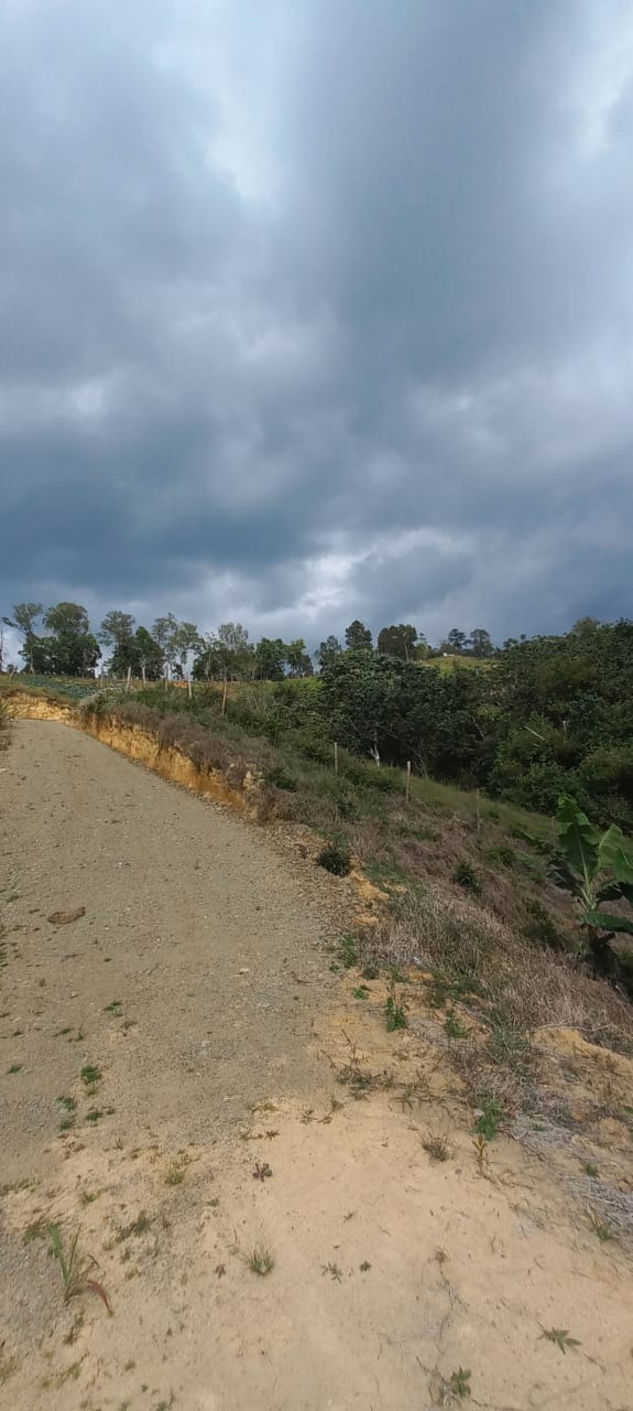 solares y terrenos - Solares Ideales para Villlas en Jarabacoa 