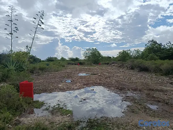 solares y terrenos - Solar venta bravo punta cana 9
