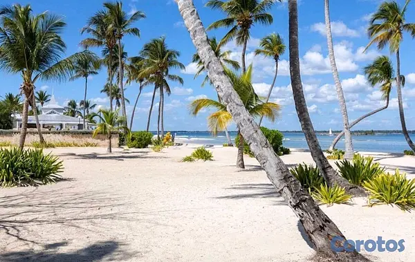 penthouses - Playa Nueva Romana  11