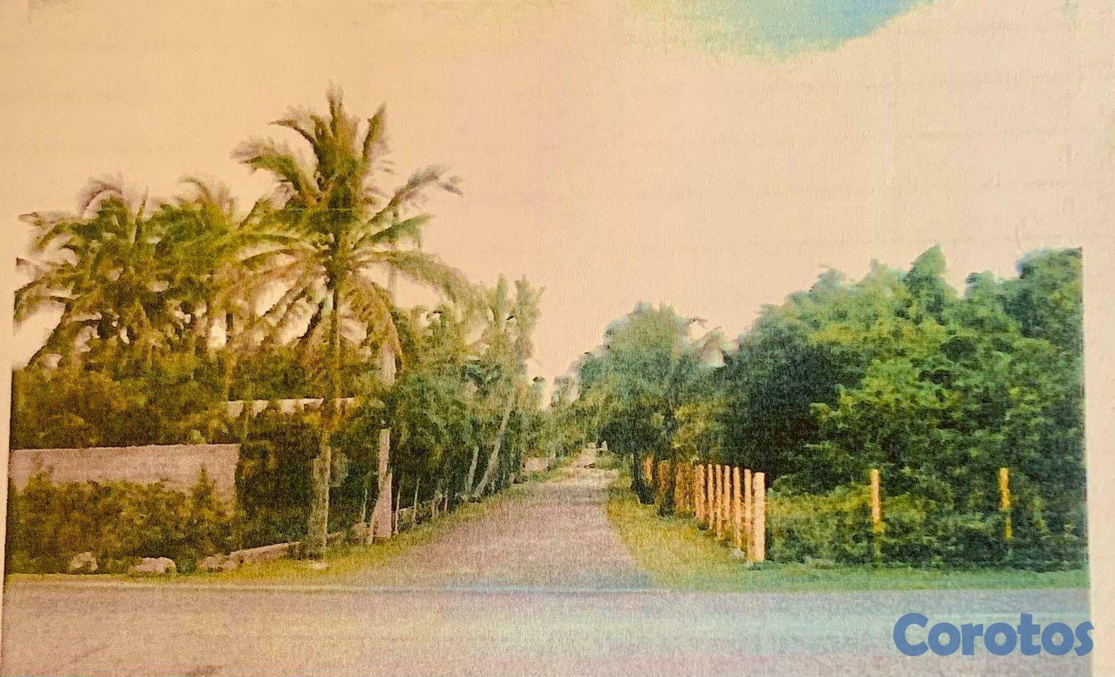 solares y terrenos - VENTA DE SOLAR EN JUAN DOLIO, EN ZONA TURISTICA CON 131 M2 4