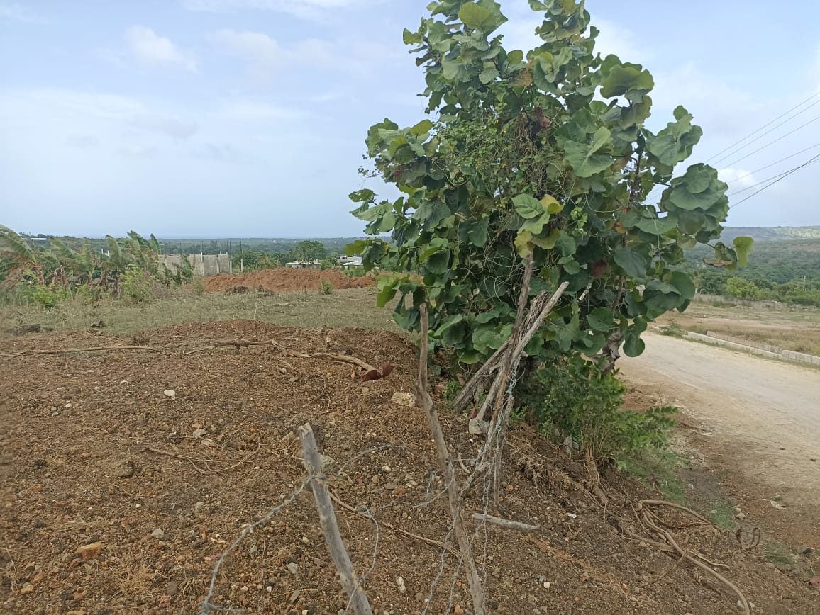 solares y terrenos - 🌄 Solares en Venta en Camú – Desde 400 m² | 0