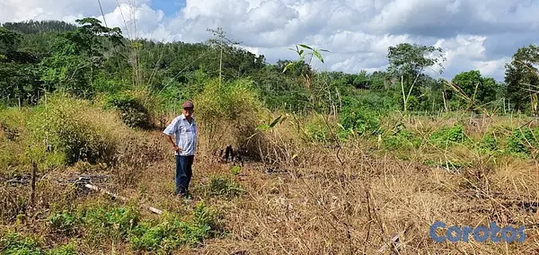 solares y terrenos - FINCA EN MONTE PLATA CON TITULO, DON JUAN 2