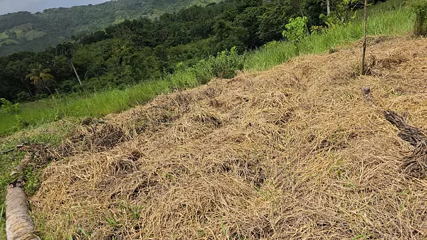 solares y terrenos - Terreno en Venta en Hato Viejo Yamasá desde 1,000 Mts, con vista hacia el Rio  6