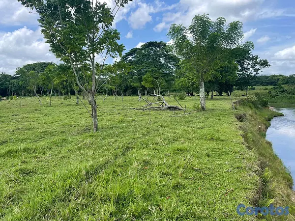 solares y terrenos - finca de 294 tareas de vocación agrícola en Monte Plata  3