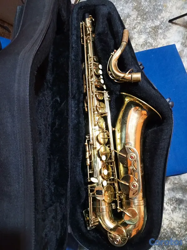 instrumentos musicales - saxofón tenor 8