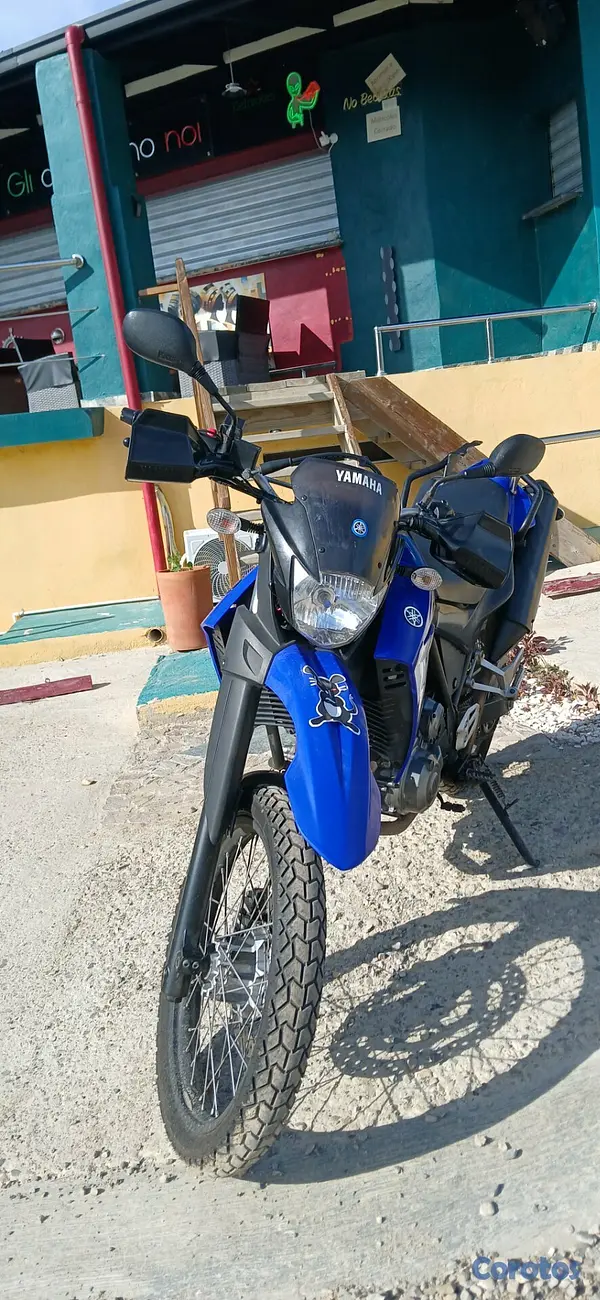 motores y pasolas - Xt660R 6