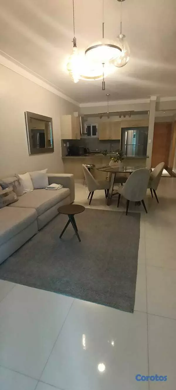 apartamentos - Bella Vista, Ideal para ejecutivo con Terraza 6