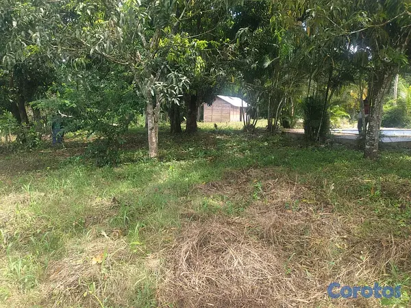 solares y terrenos - finca de 57 tareas con casa campestre en sabana grande de boya  2