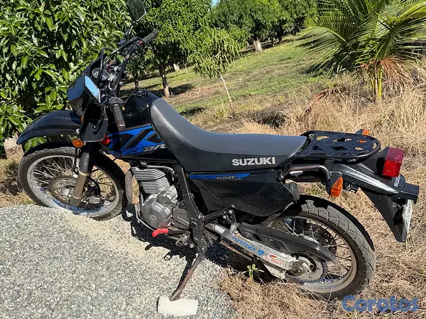 motores y pasolas - vendo  7