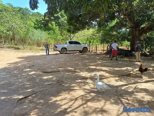 solares y terrenos - Venta de Finca en Gima, Fantino – Provincia Sánchez Ramírez 2