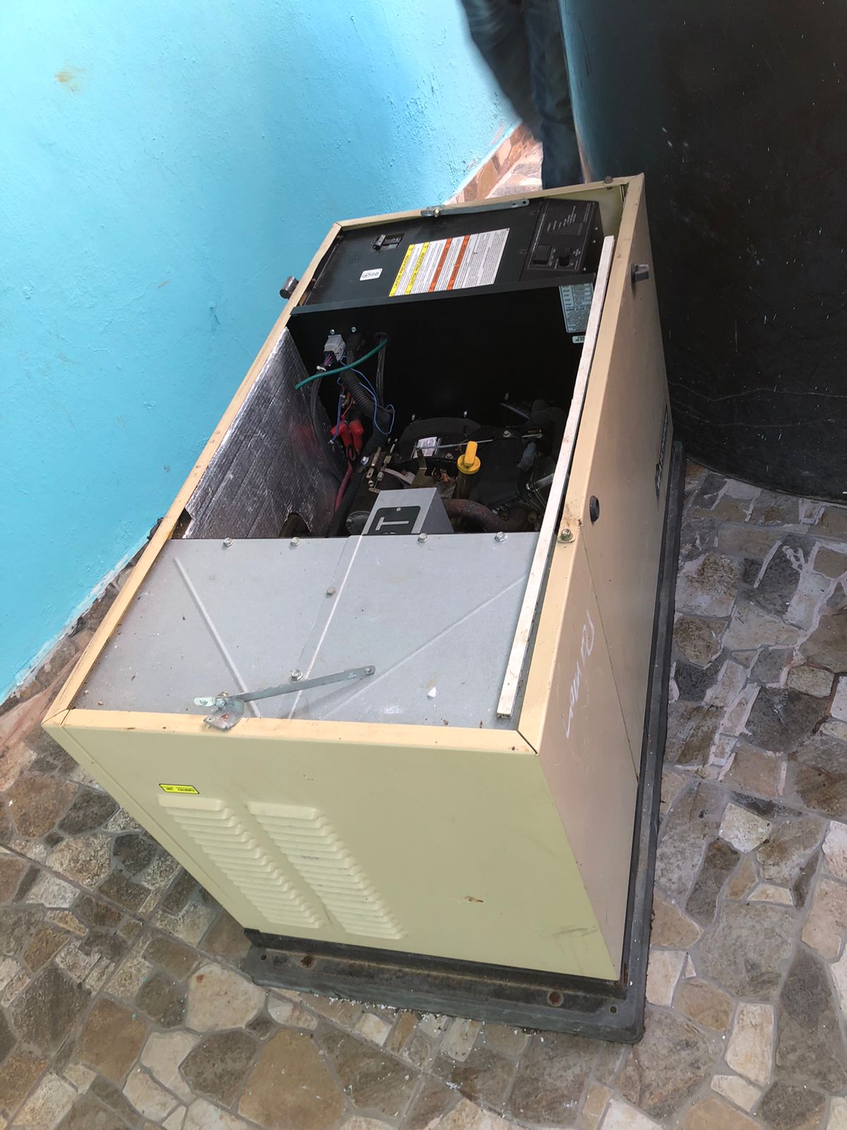 plantas e inversores - Planta eléctrica de gas de 12 kilos voltaje 110/22