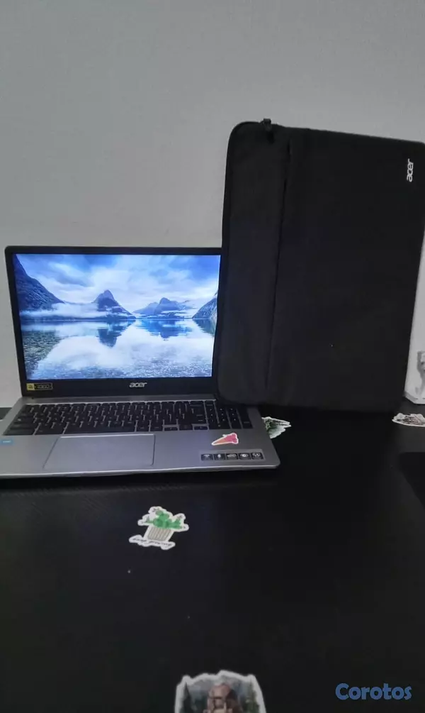 computadoras y laptops - Acer chromebook 315 Está hecha para búsquedas,tare 1