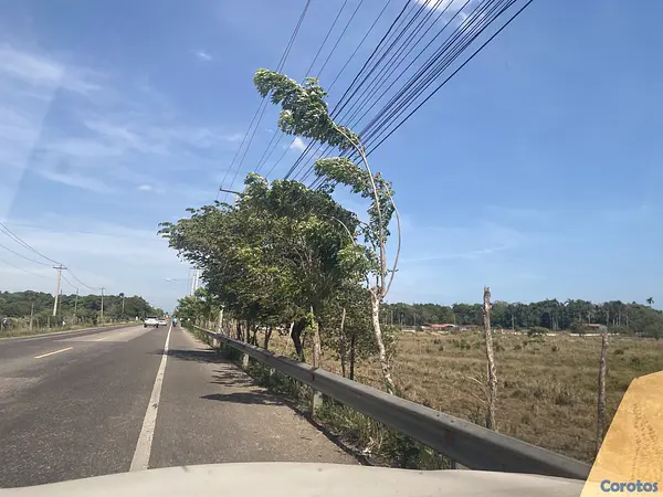 solares y terrenos - 40 mil mts en puerto plata  6