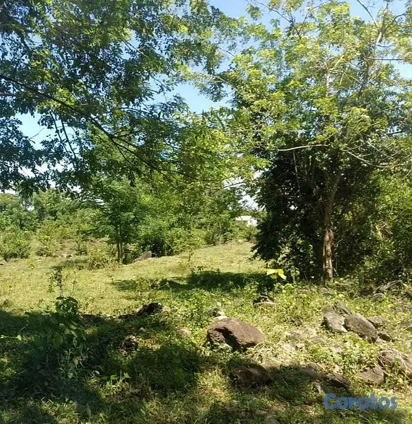 solares y terrenos - Se vendé este terreno con título definitivo  3