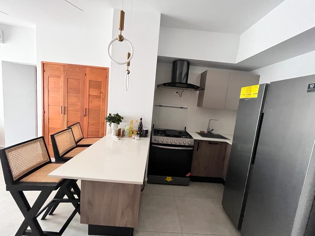 apartamentos - Preciso apartamento moderno, amueblado de 2h en la esperilla. 1