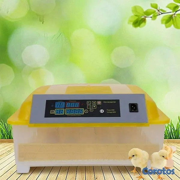equipos profesionales - Incubadoras de 48 huevos digital automatico para Pollo Aves de corra 9