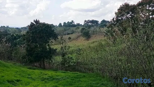 otros inmuebles - finca de 80 tareas perfecta para casa campestre  4