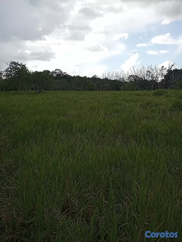 solares y terrenos - Finquita Ganadera en hatillo Monte Plata a Diez Mi 9