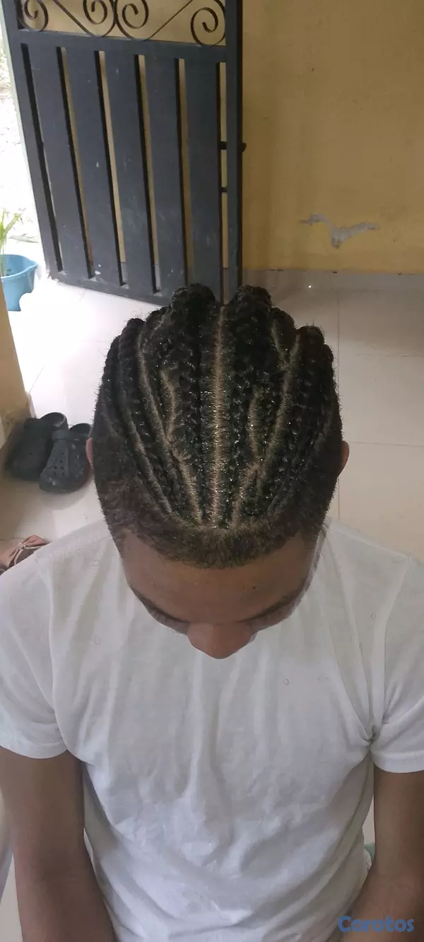 servicios profesionales - Todo tipo de trenzas  5