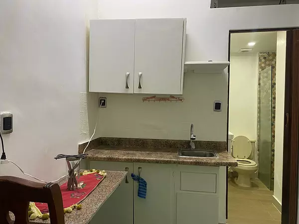 apartamentos - Alquiler Estudio Amueblado con Parqueo, Zona Colonial, Santo Domingo 4